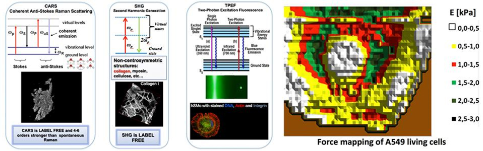 Laboratorio di Microscopia Ottica Nonlineare & AFM wide