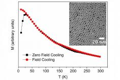 Nanoparticelle magnetiche