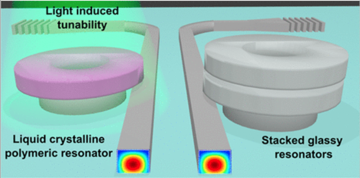 Tunable polymers photonics
