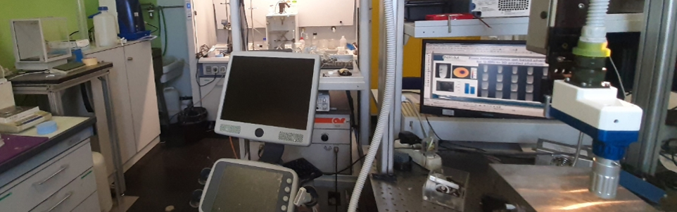 Laboratori di Materiali Simulatori Tissutali & Drug Delivery