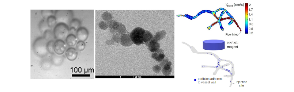 Nanomateriali wide