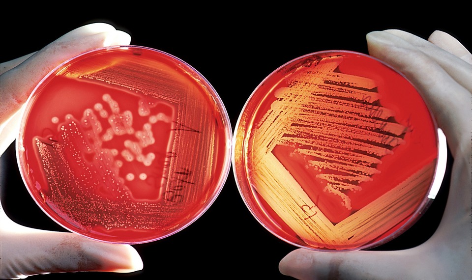 metrologia sicurezza biosafety