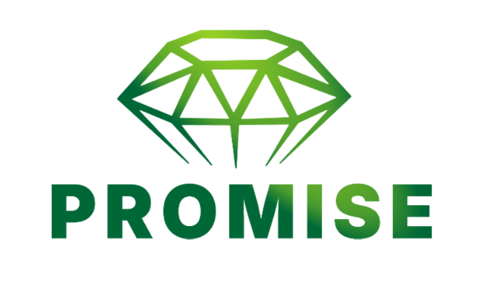 PROMISE LOGO