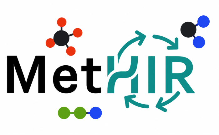 Logo progetto MetHIR