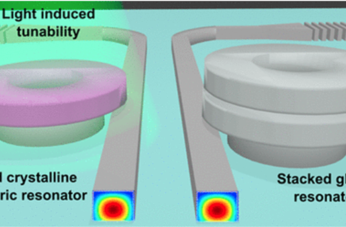 Tunable polymers photonics