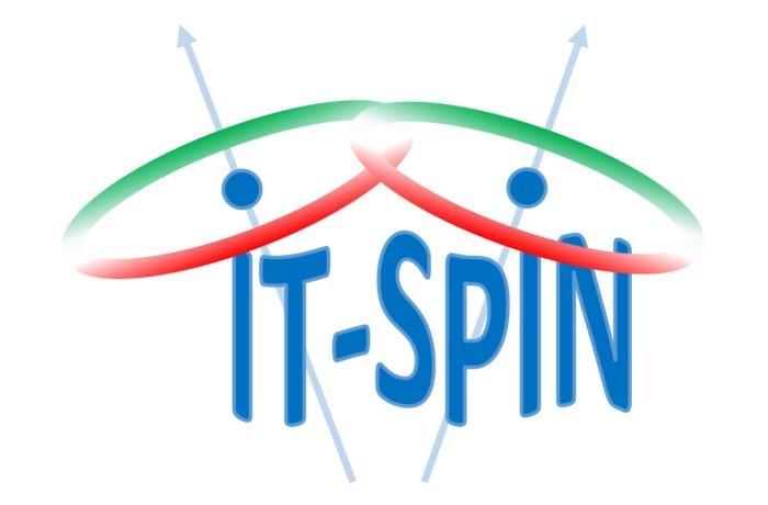 IT-SPIN logo 700x460
