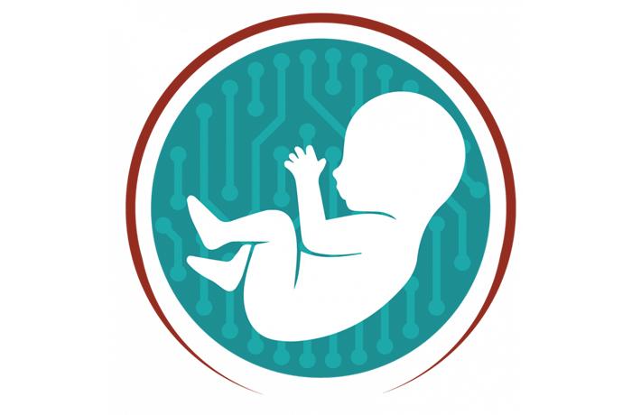 LIFESAVER logo 700x460