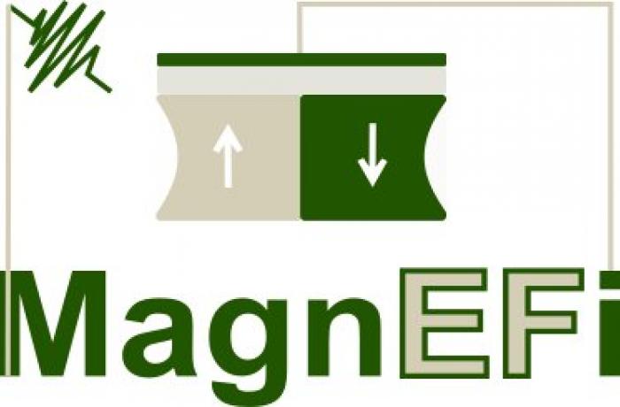 MAgnefi logo