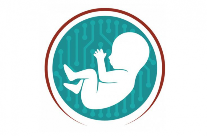 LifeSaver_Logo_Project