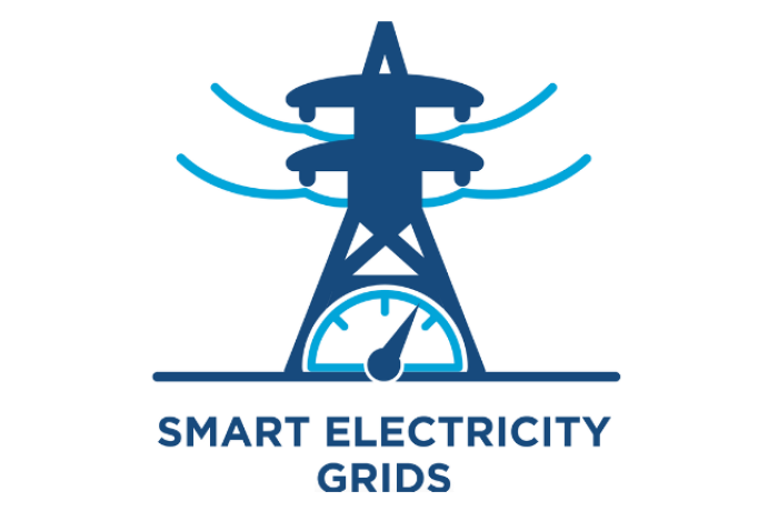 EMN for Smart Electricity Grids