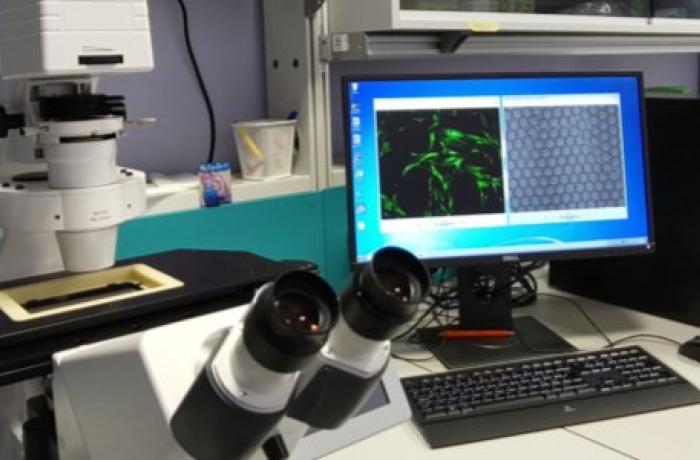 Lab_Biometrologia