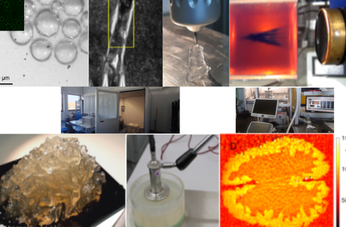 Laboratorio di phantom e materiali per applicazioni biomedicali